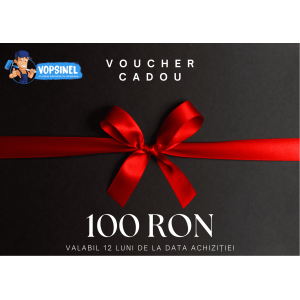 Voucher Vopsinel 100 Lei