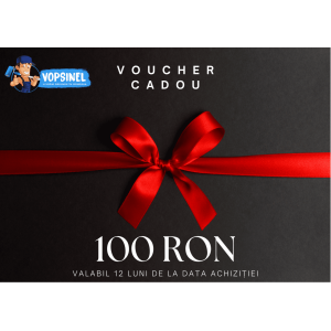 Voucher Vopsinel 100 Lei