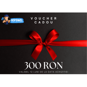 Voucher Vopsinel 300 Lei