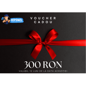 Voucher Vopsinel 300 Lei